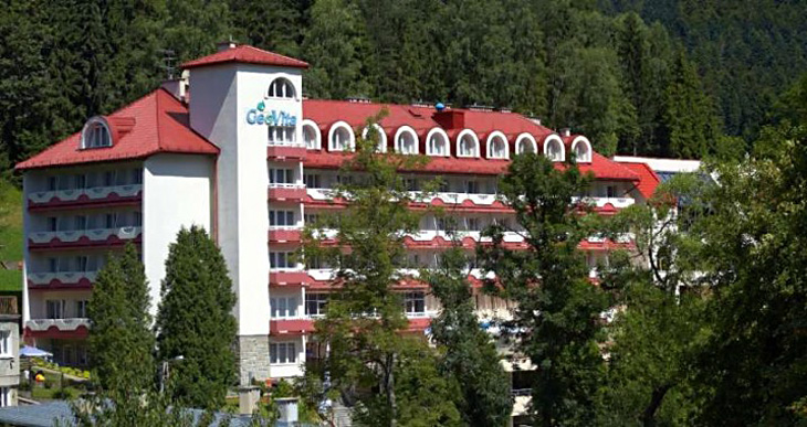 Geovita przygotowała specjalne propozycje świąteczne