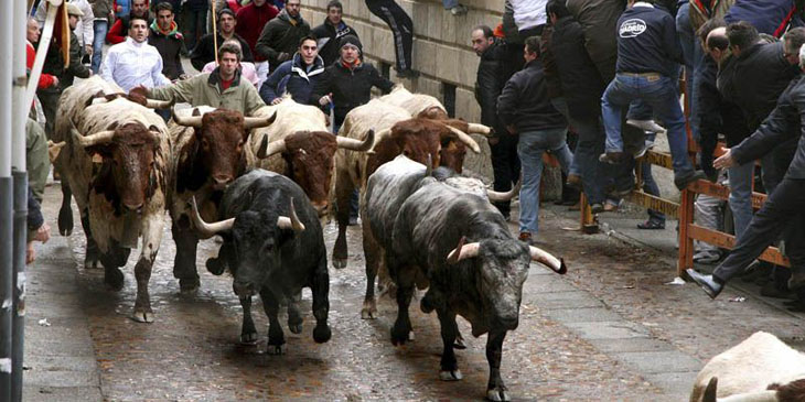 Carnaval del Toro