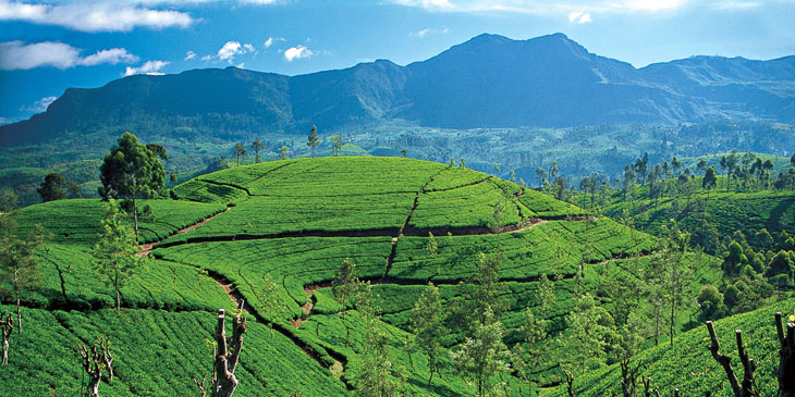 Sri Lanka