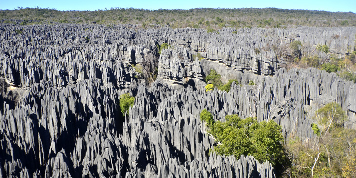 Tsingy de Bemaraha