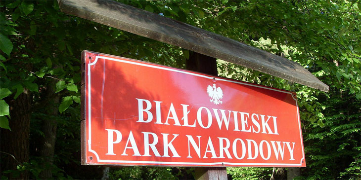 Białowieski Park Narodowy
