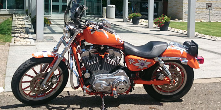 Piknik Entuzjastów Harley-Davidson