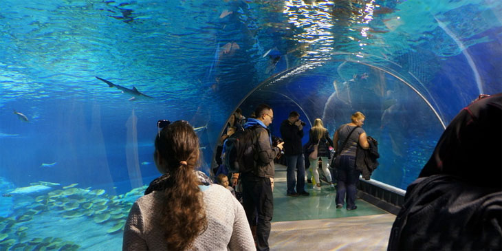 Afrykarium Wrocław