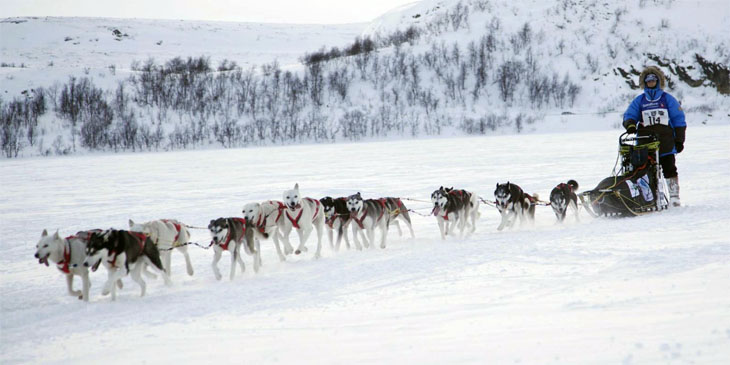 Finnmarkslopet