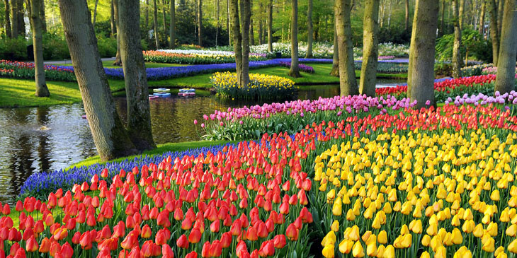 Keukenhof Garden