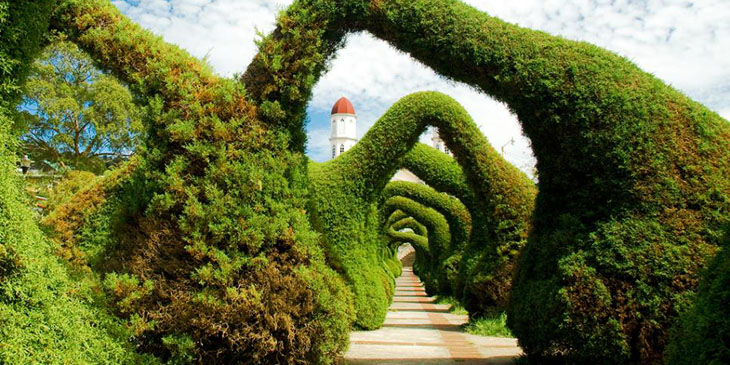 Parque Francisco Alvarado