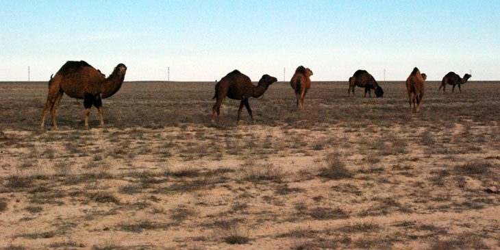 Kazachstan