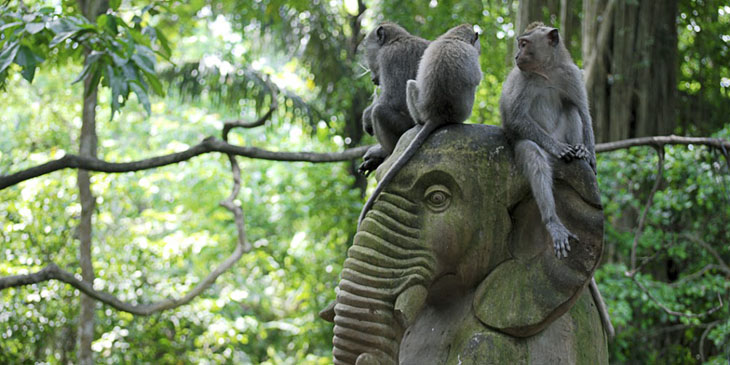 Wracam do raju - Wyprawy na Bali i Gili