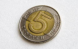 5 złotych