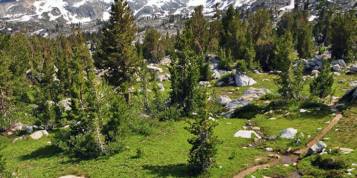 Pacific Crest Trail