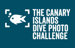 The Canary Islands Dive Photo Challenge