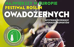 Festiwal Roślin Owadożernych we Wrocławiu