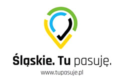 Śląskie. Tu pasuję