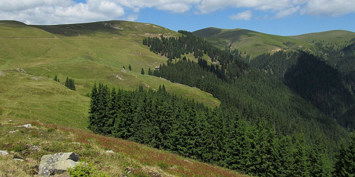 Góry Capatanii