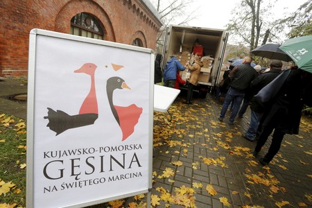 Gęsina