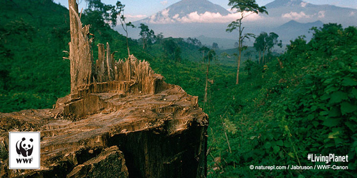 Living Planet Report 2016