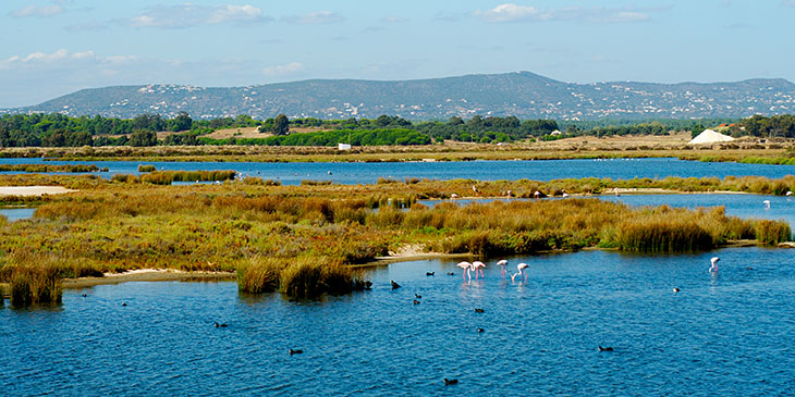 Ria Formosa