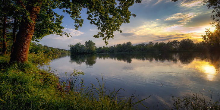 Rzeka Narew