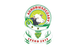 Targi Rzemiosła, Przedsiębiorczości i Leśnictwa – Agrobieszczady 2017