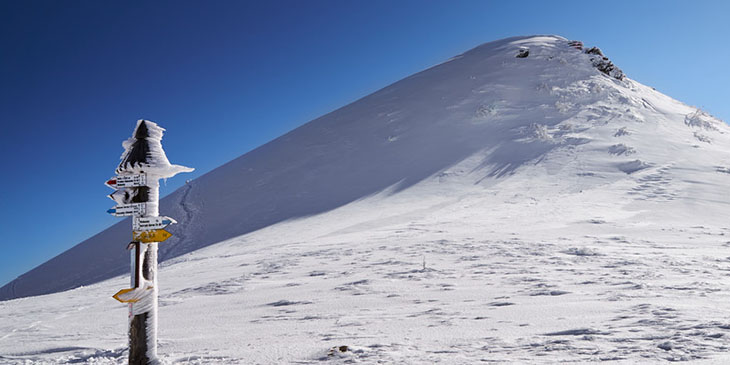Tarnica (Bieszczady)
