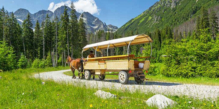 Zaprzęg na Morskie Oko