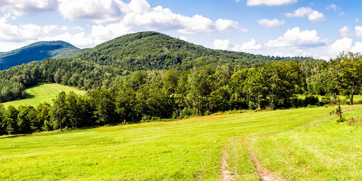 Beskid Niski