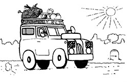 Auto