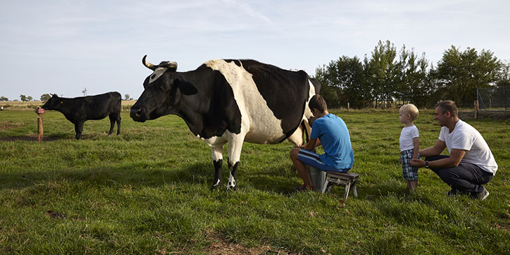 W agroturystyce Ola można uczestniczyć w codziennych pracach gospodarstwa (foto: Konrad Królikowski)