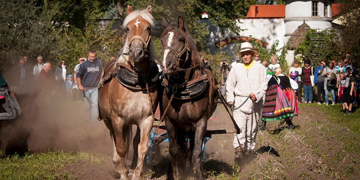 Jesień w polu i w zagrodzie