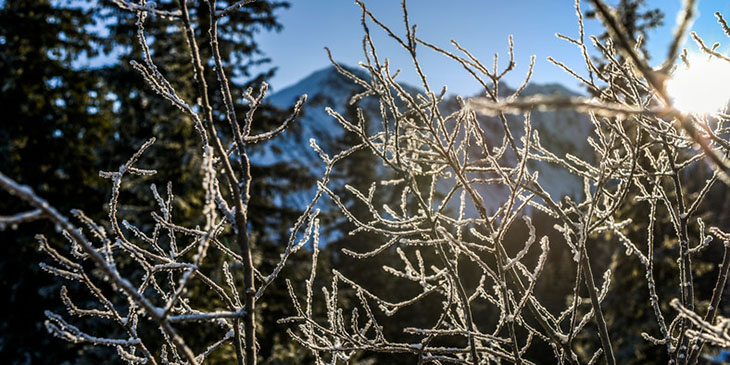 Tatry