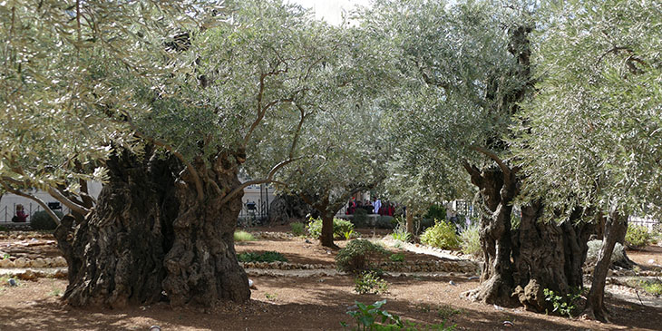 Jerozolima