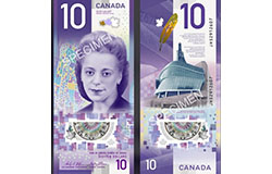 Pionowy banknot