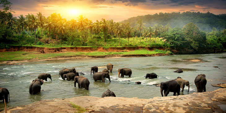 Sri Lanka