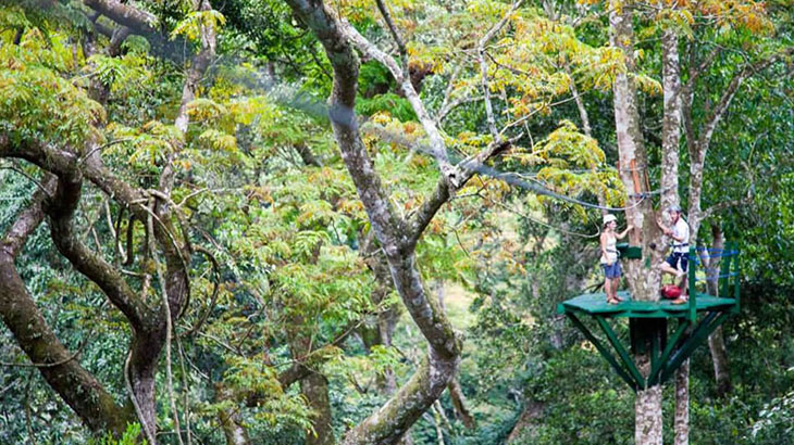 Mabira Forest Zip-line (Super Skyway) / www.ecotoursuganda.com