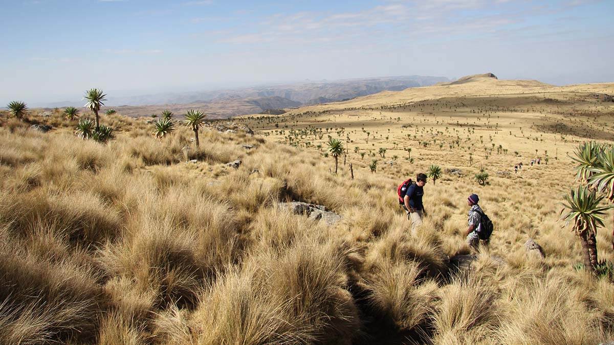 Etiopia