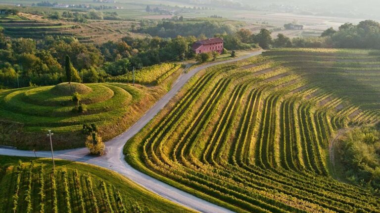 Friuli Venezia Giulia