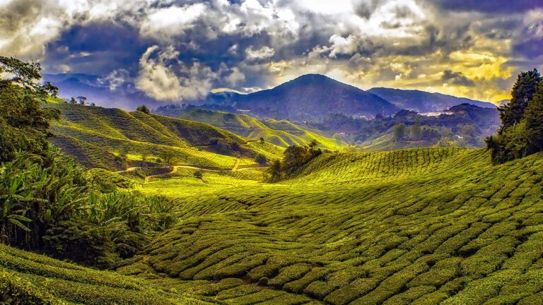 Malezja