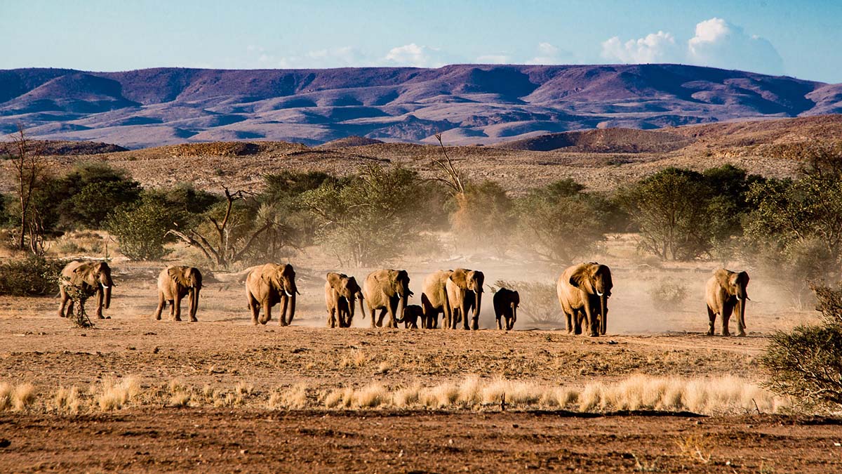 Namibia