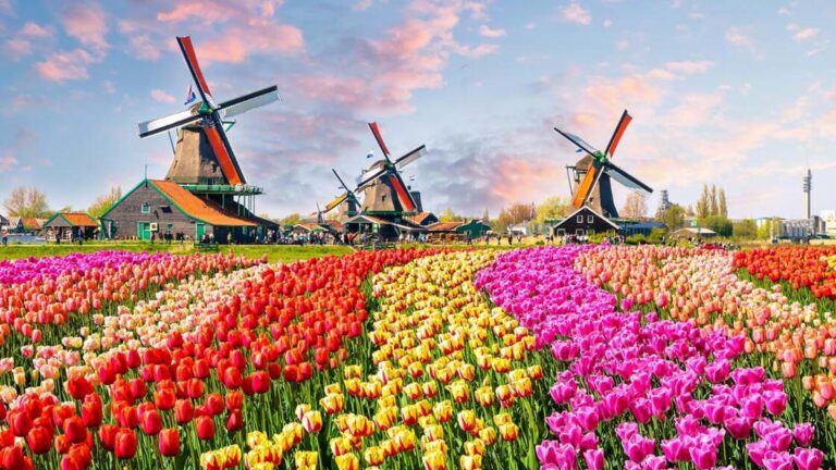 Holandia zmieniła nazwę z “Holland” na “The Netherlands”