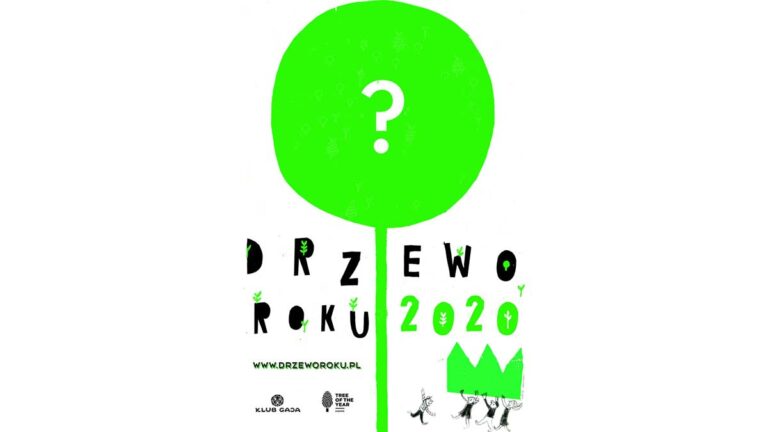 Drzewo Roku