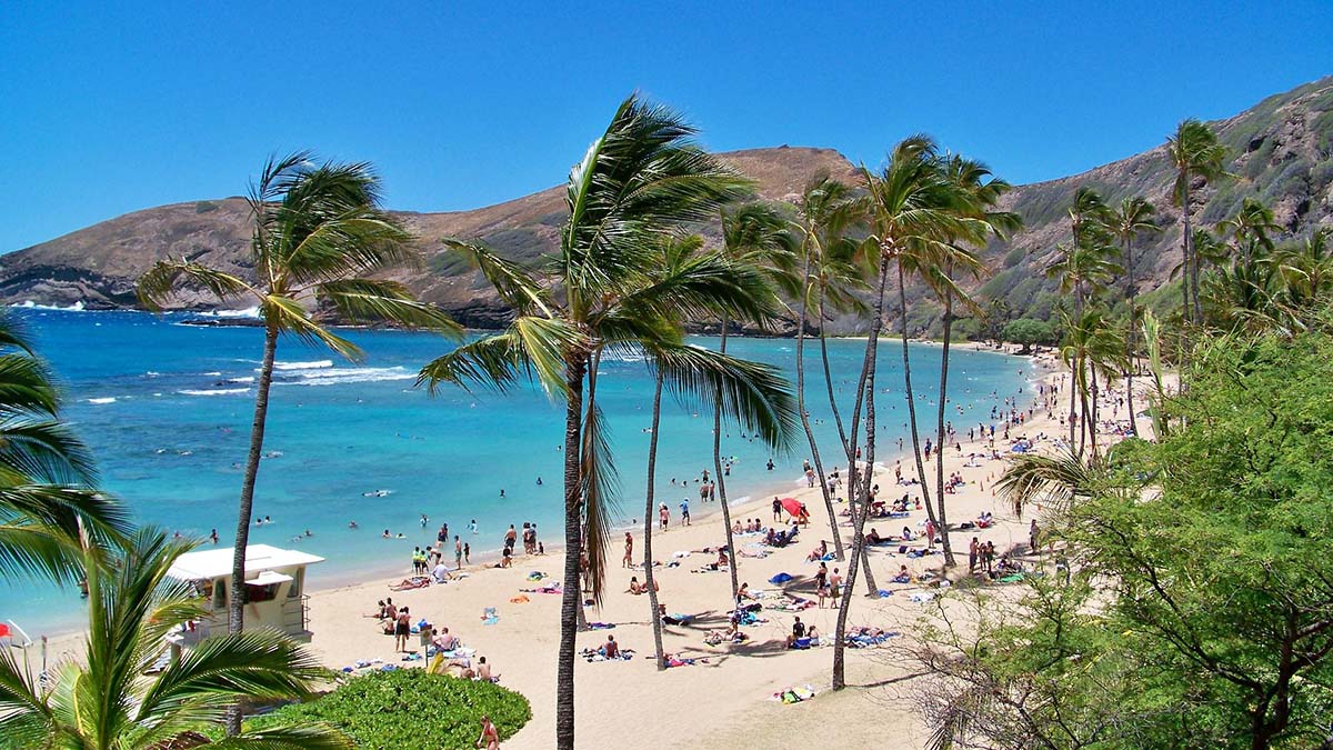 Hawaje