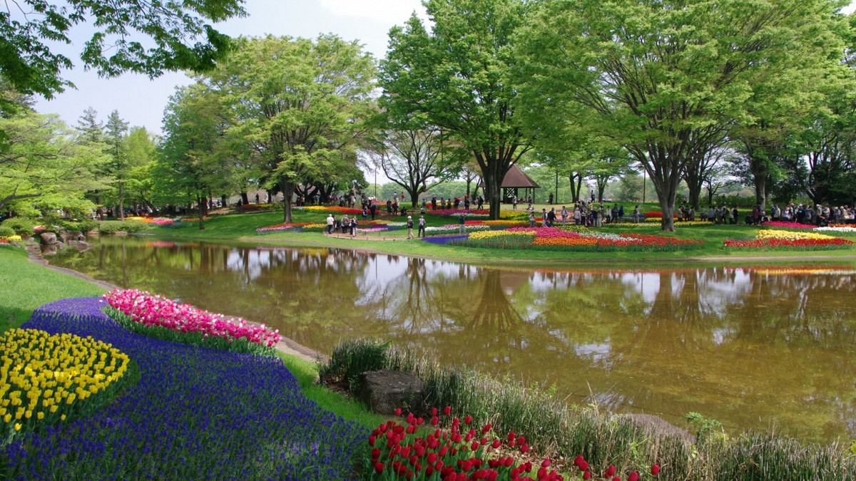 Japonia