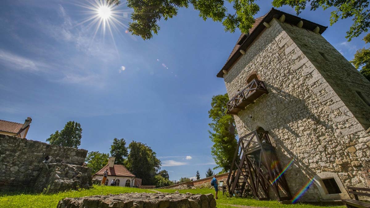 Zamek Żupny