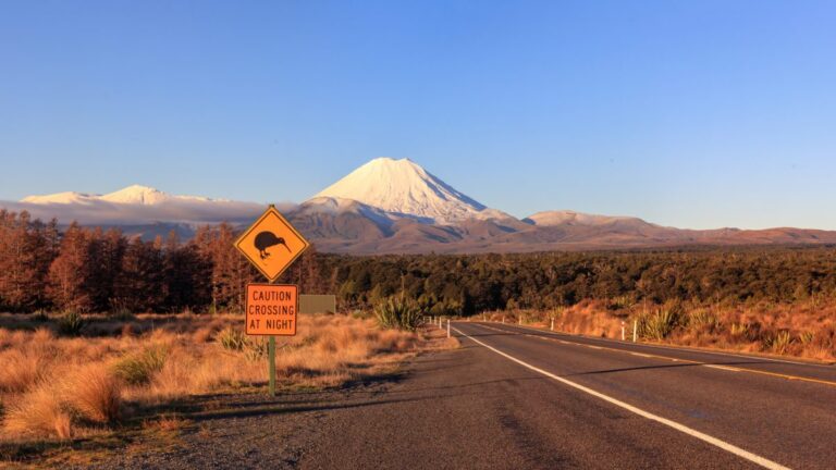 Auckland, Nowa Zelandia