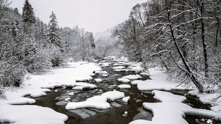 Bieszczady
