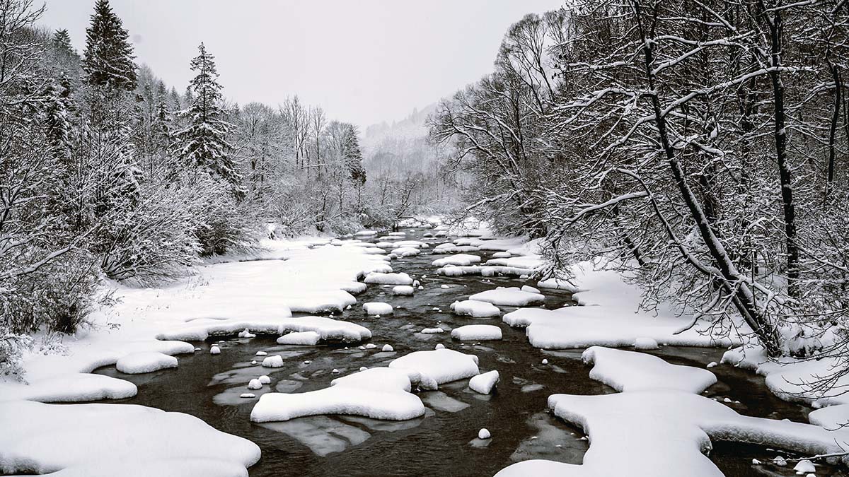 Bieszczady