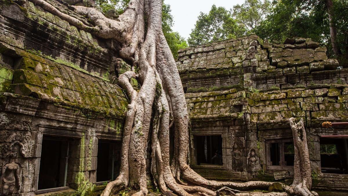 Angkor Wat, Kambodża