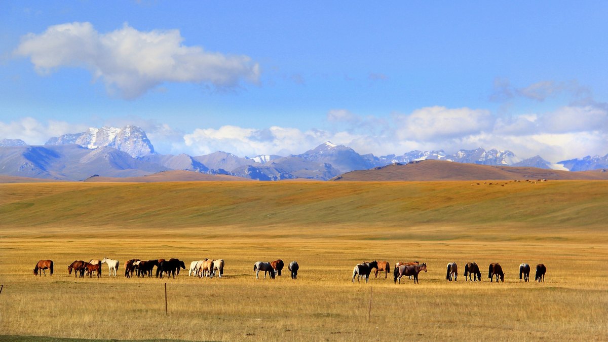 Xinjiang, Chiny