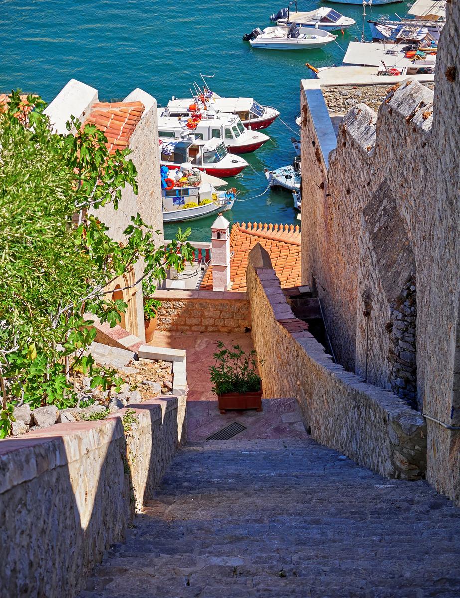 Hydra