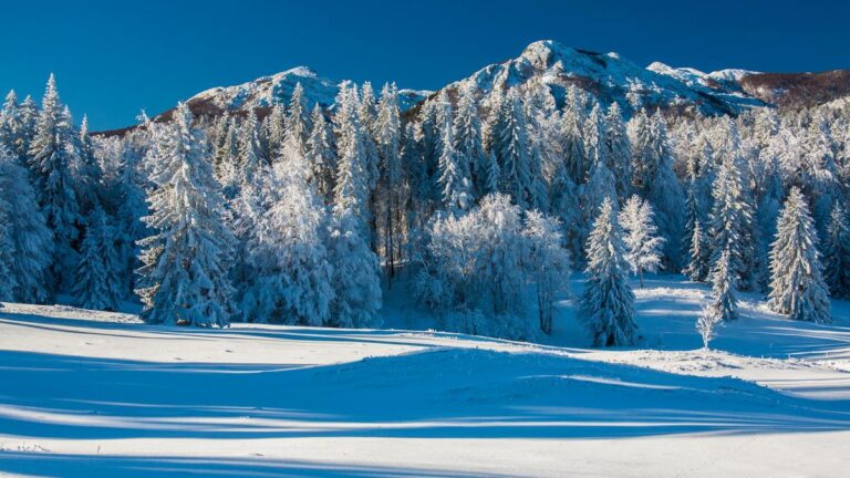 Park Narodowy Północnego Welebitu
